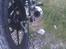 Yamaha YBR 125cc