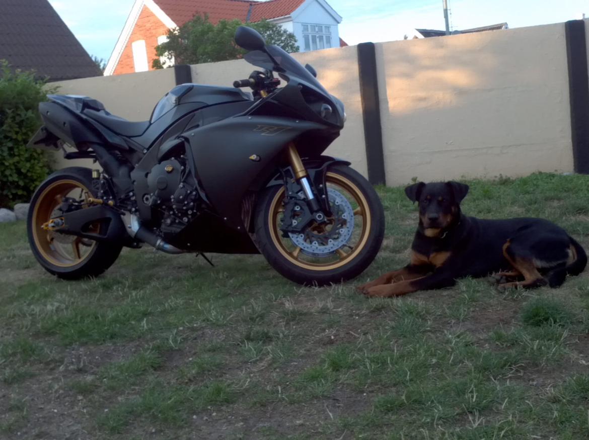 Yamaha r1 rn22 billede 8