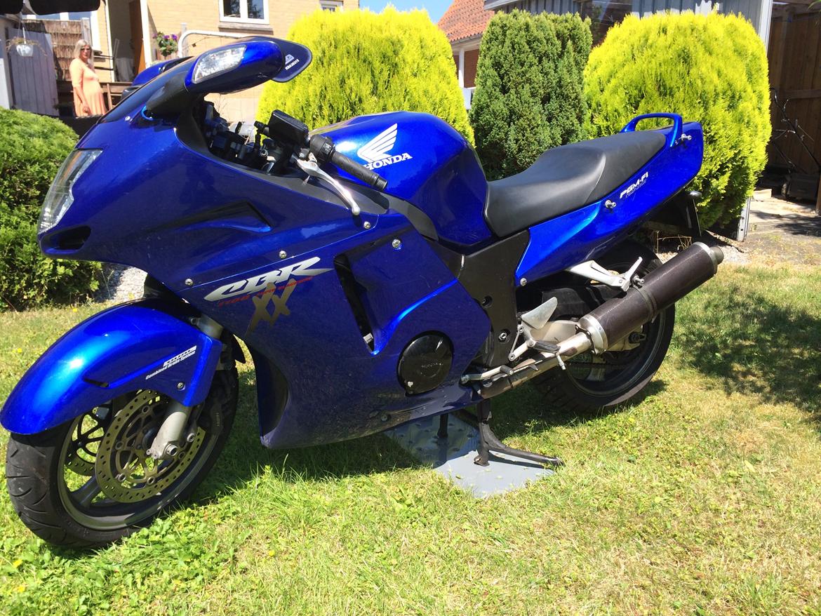 Honda cbr 1100 Super blackbird billede 12