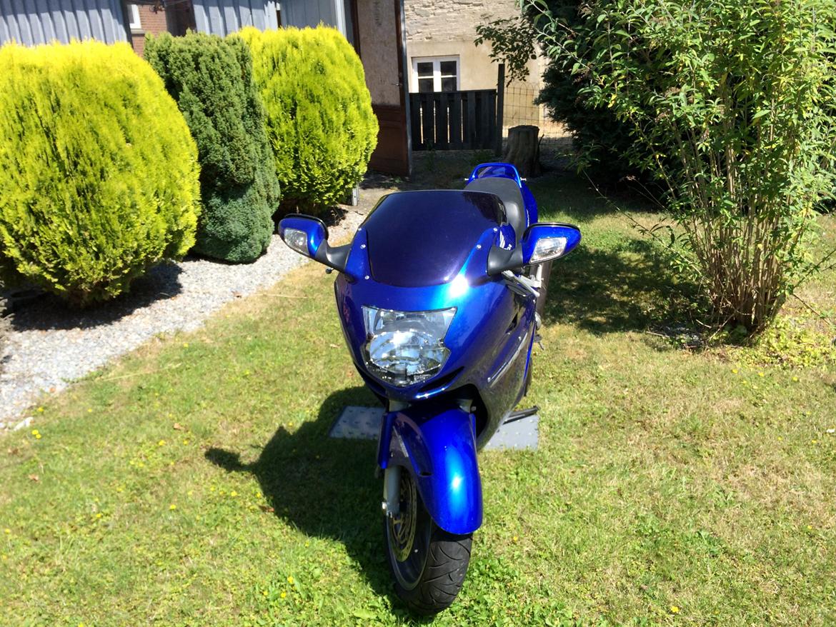 Honda cbr 1100 Super blackbird billede 14