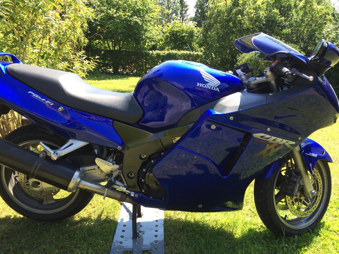 Honda cbr 1100 Super blackbird billede 16