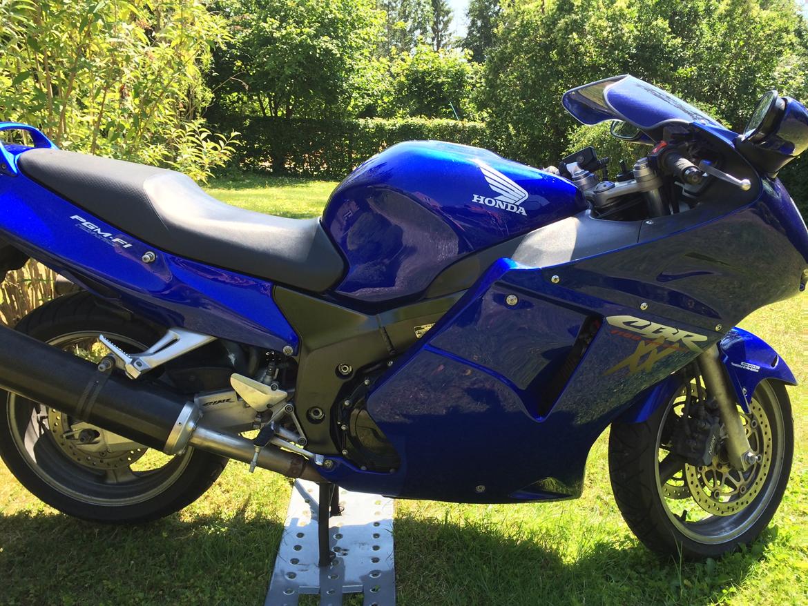 Honda cbr 1100 Super blackbird billede 17