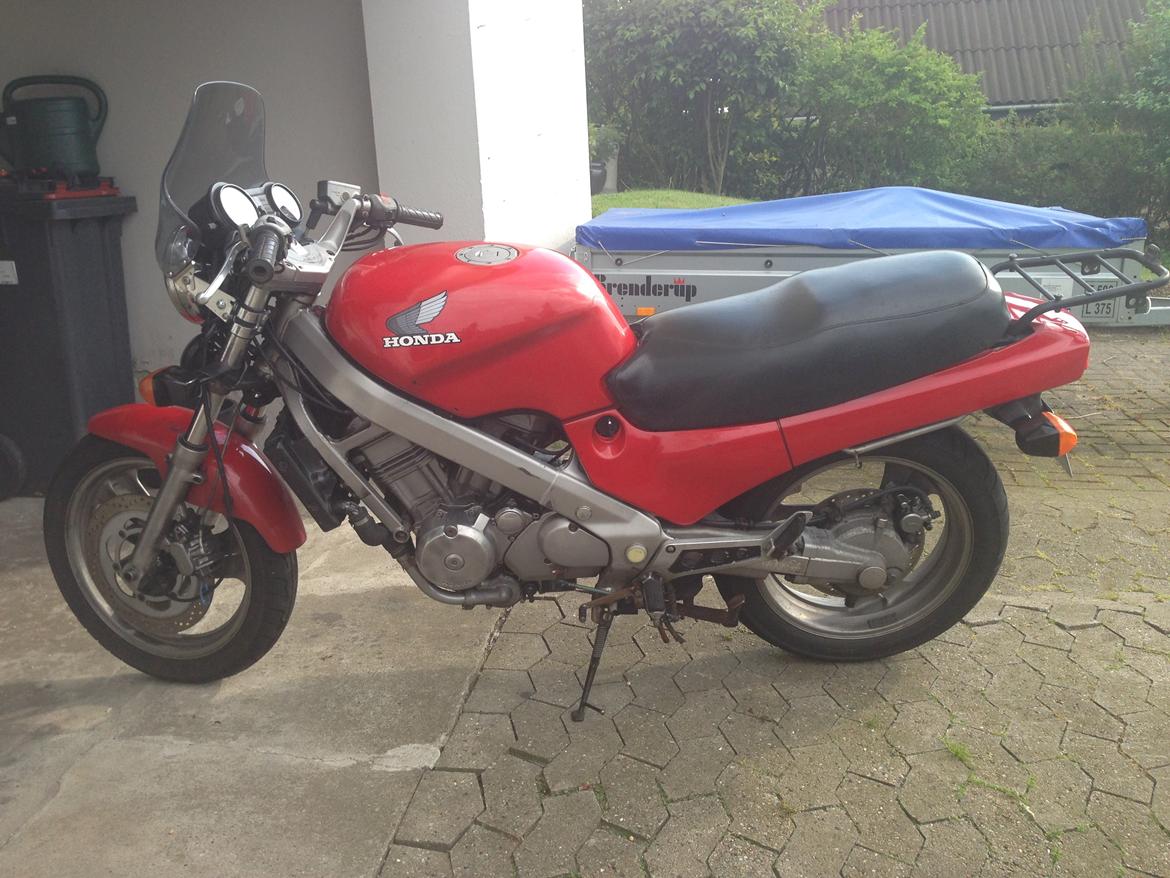 Honda NTV (Revere 650) billede 5