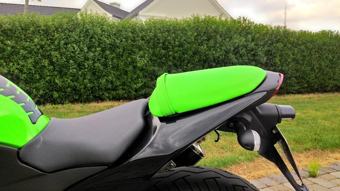 Kawasaki Ninja 250r billede 8