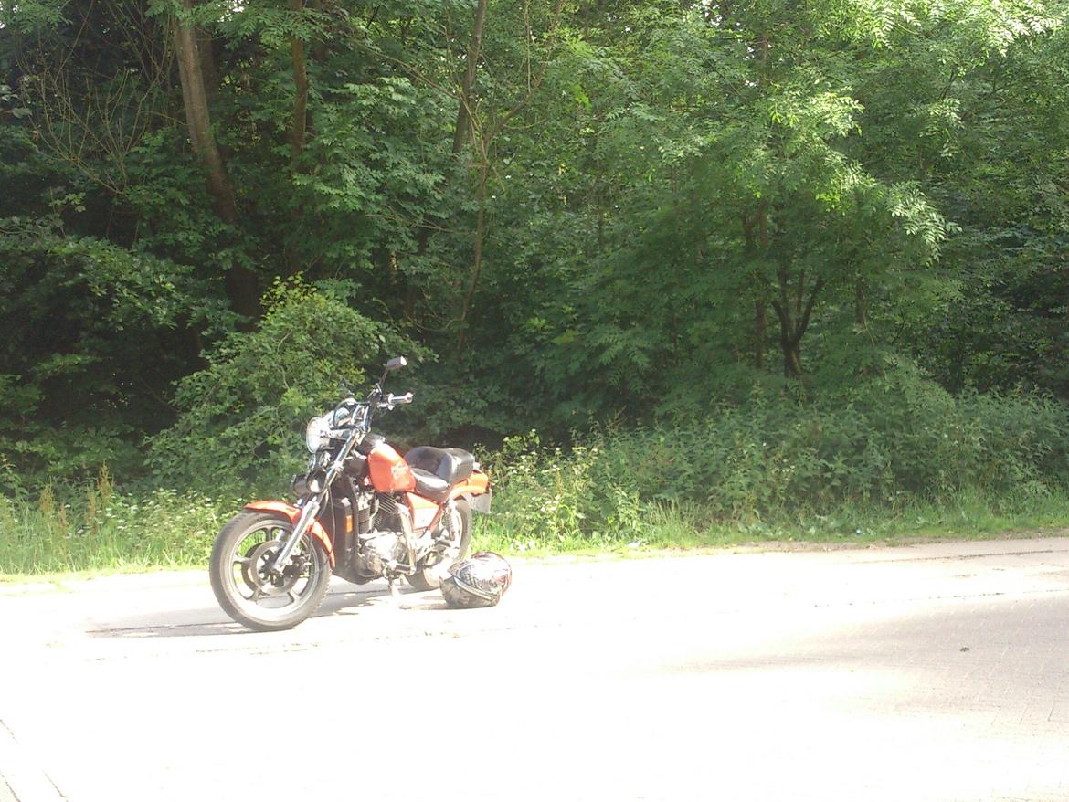 Honda VT 1100 C - Shadow - Som jeg hentede den. billede 12