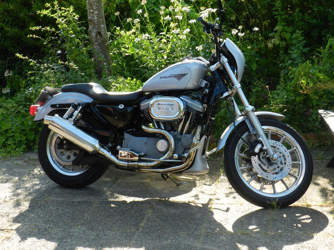 Harley Davidson sportster sport billede 1