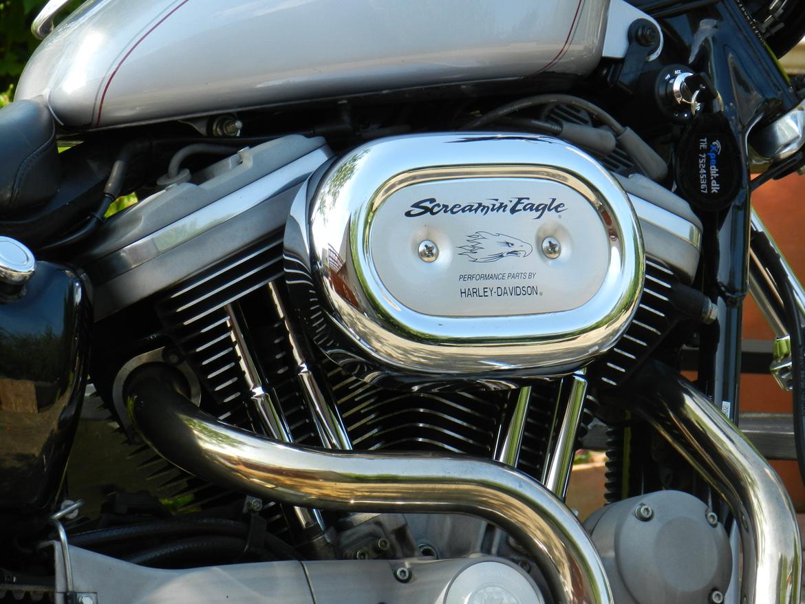 Harley Davidson sportster sport billede 3