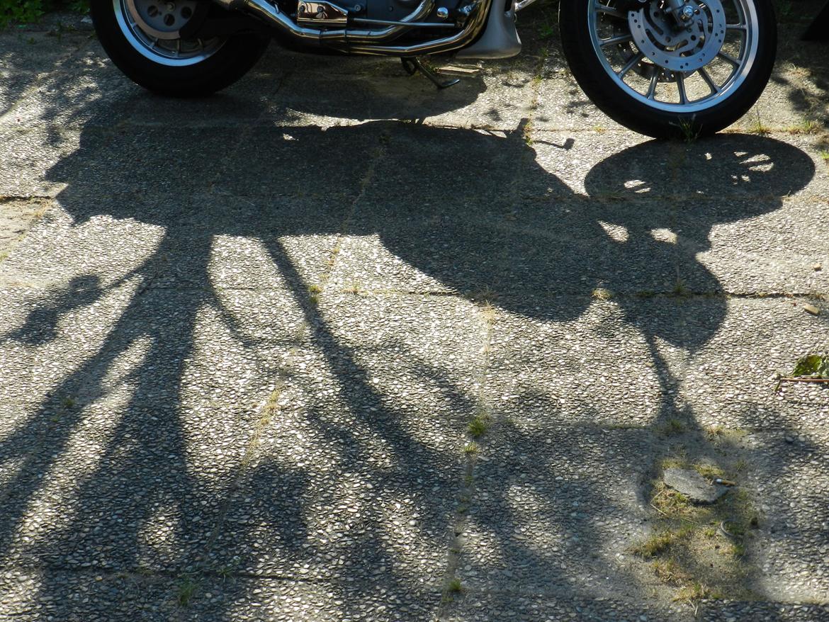 Harley Davidson sportster sport billede 5