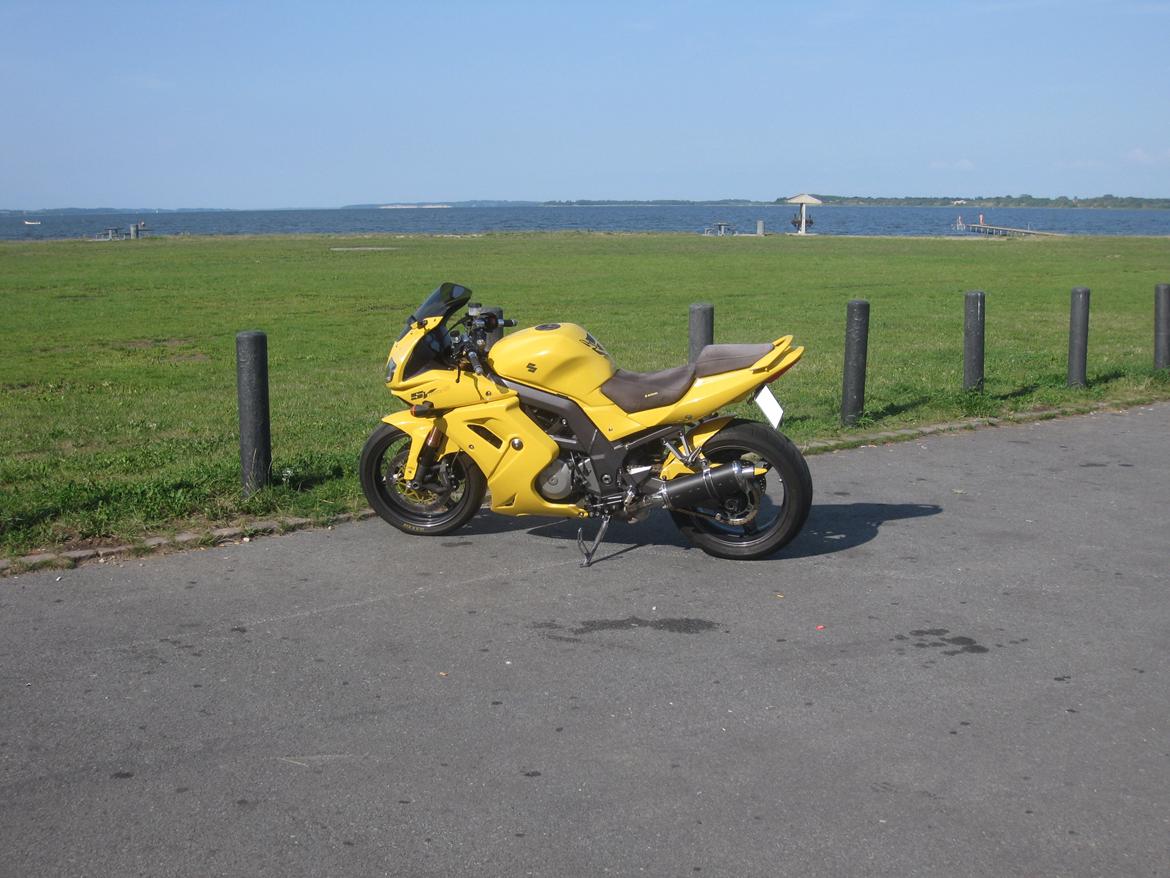 Suzuki Sv1000 s billede 2
