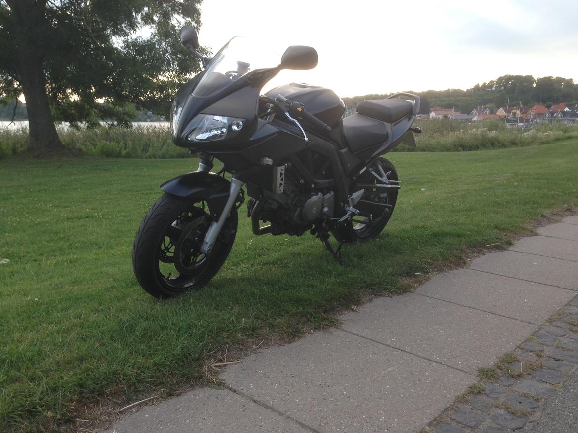 Suzuki SV650 S billede 3