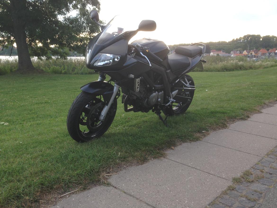 Suzuki SV650 S billede 4
