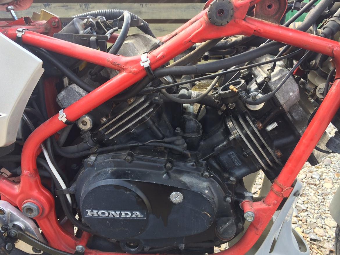 Honda VT 250F billede 5