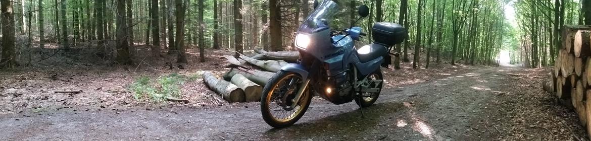 Honda XL 600 Transalp billede 4