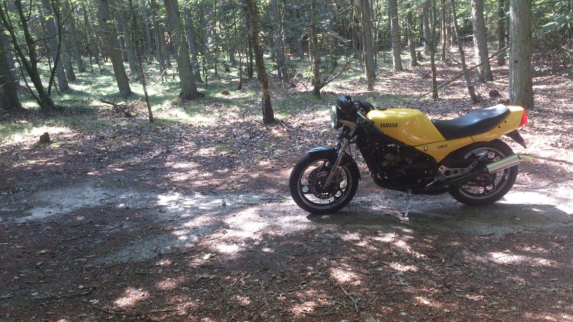 Yamaha RD 350 LC YPVS billede 7