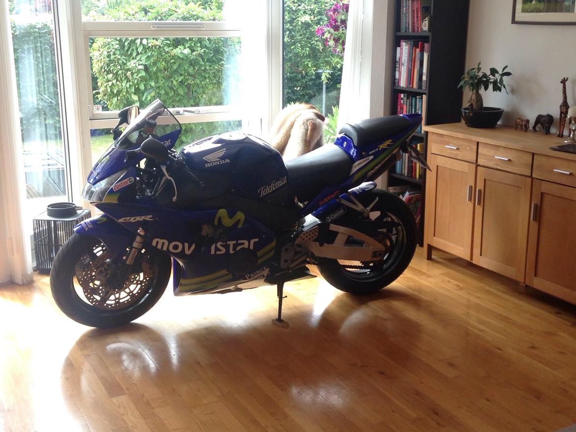 Honda CBR 954 RR (SC50) Fireblade *MOVISTAR* - Bedre udsigt kan man da ikke få! billede 9