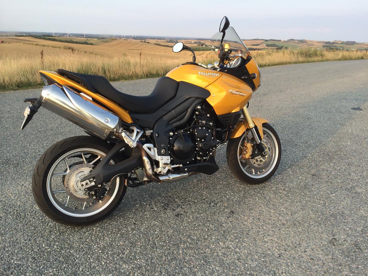 Triumph tiger 1050 billede 3