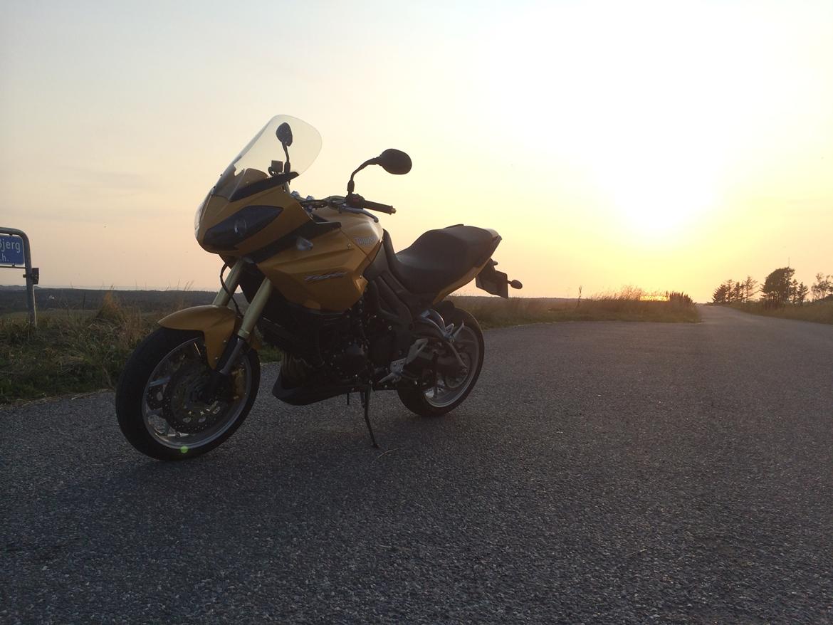 Triumph tiger 1050 billede 5