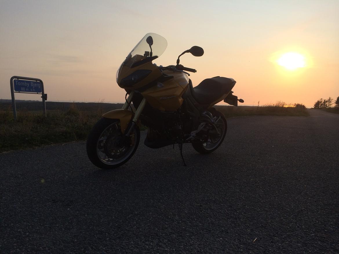 Triumph tiger 1050 billede 6