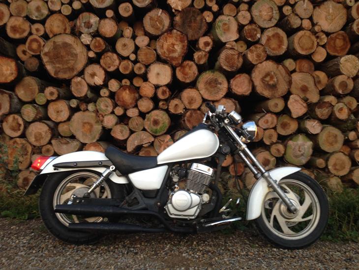 2008 lifan lf250