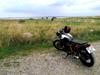 Suzuki GS 550 Street Tracker (cafe/brat)