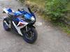 Suzuki GSXR-600