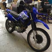 Yamasaki XT 600E