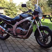Suzuki GS500E