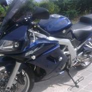 Suzuki SV1000s