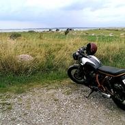 Suzuki GS 550 Street Tracker (cafe/brat)