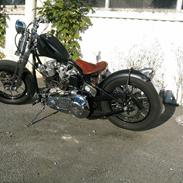 Harley Davidson fl