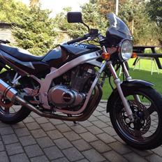 Suzuki GS500E