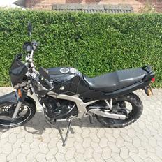 Suzuki GS 500 All road