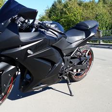 Kawasaki Ninja 250R