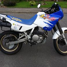 Honda SOLGT NX 650 Dominator