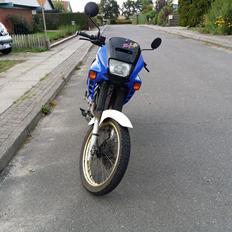 Honda SOLGT NX 650 Dominator