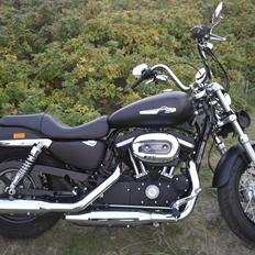 Harley Davidson Sporster custom 1200 CB
