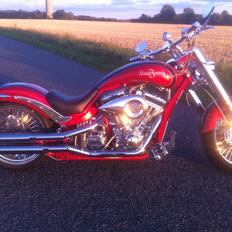 Lauge Jensen Great Dane