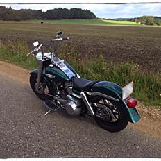 Harley Davidson FLH - Electra Glide (SOLGT)