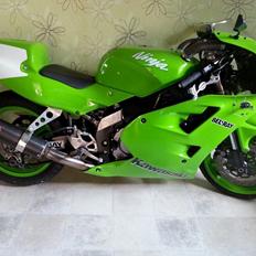 Kawasaki zxr zx4r ninja