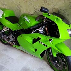 Kawasaki zxr zx4r ninja