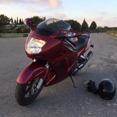 Honda Cbr 1100 xx black bird