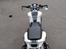 Suzuki SV 1000 N