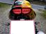 Yamaha R6 "R46" Rossi Edition <Solgt>