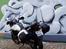 Suzuki DL 650 V-Strom (Solgt)