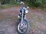 Regal Raptor DD250E-9B - inden lygtebro