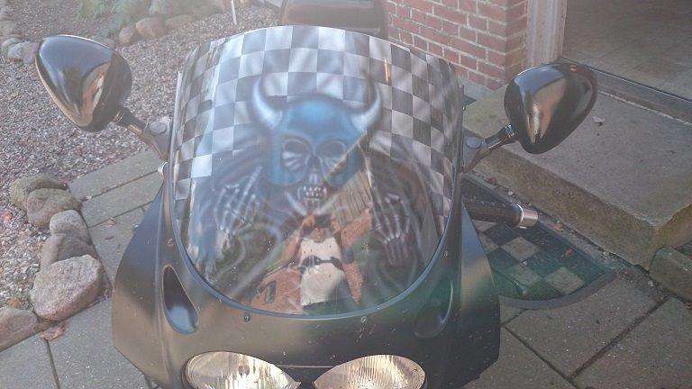 Yamaha fzr 1000 billede 2