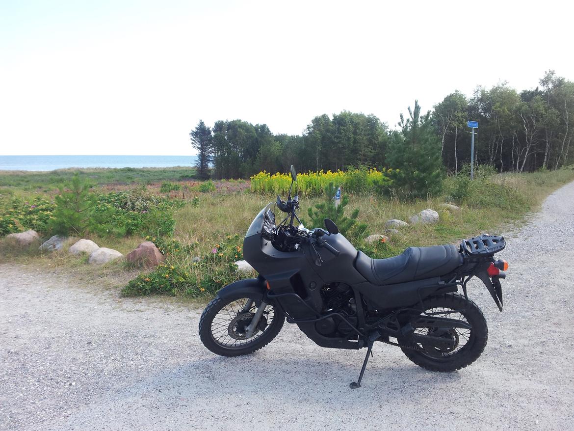 Honda Transalp XL 600 V billede 11