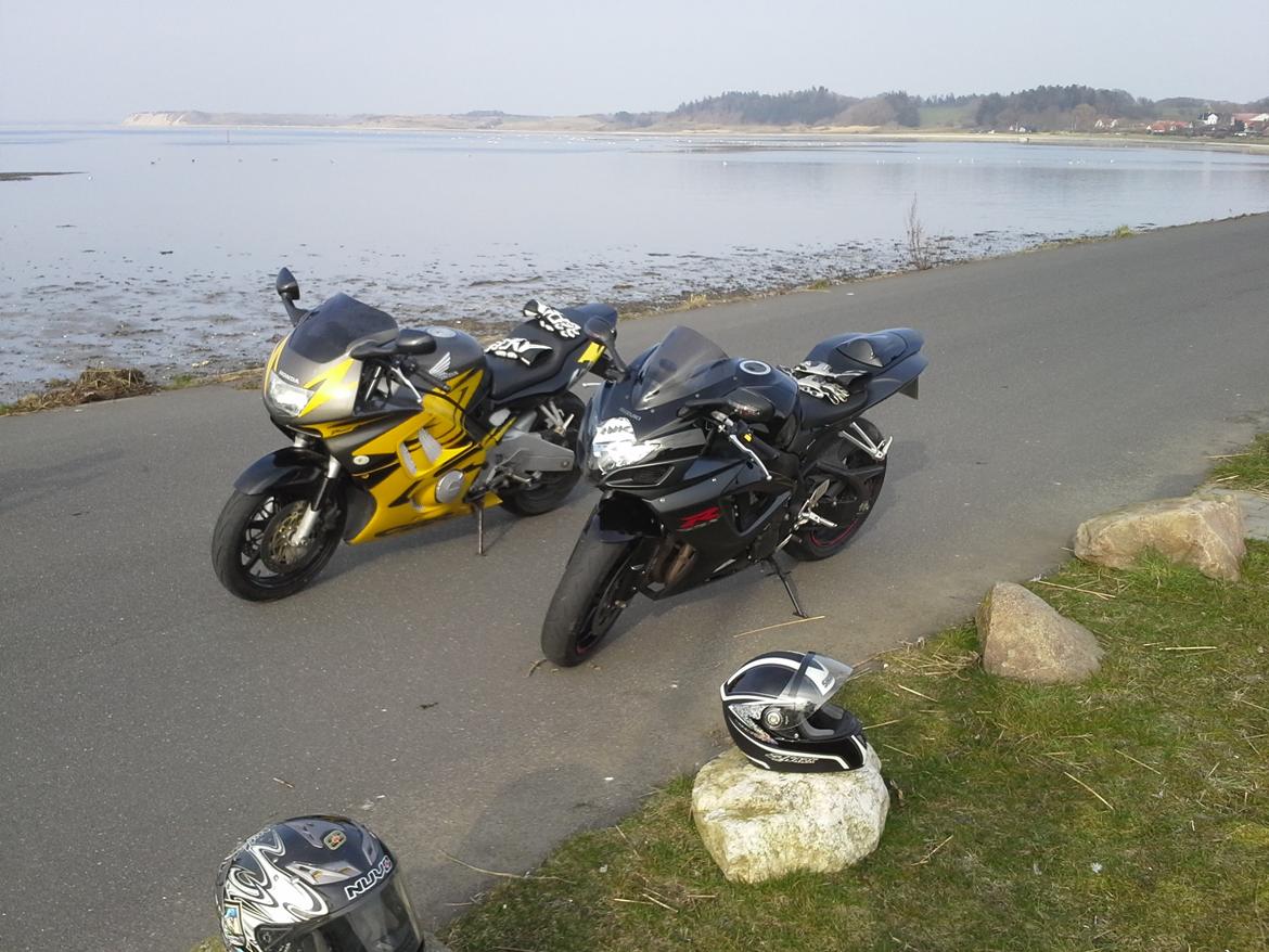 Honda CBR 600 F3 billede 3