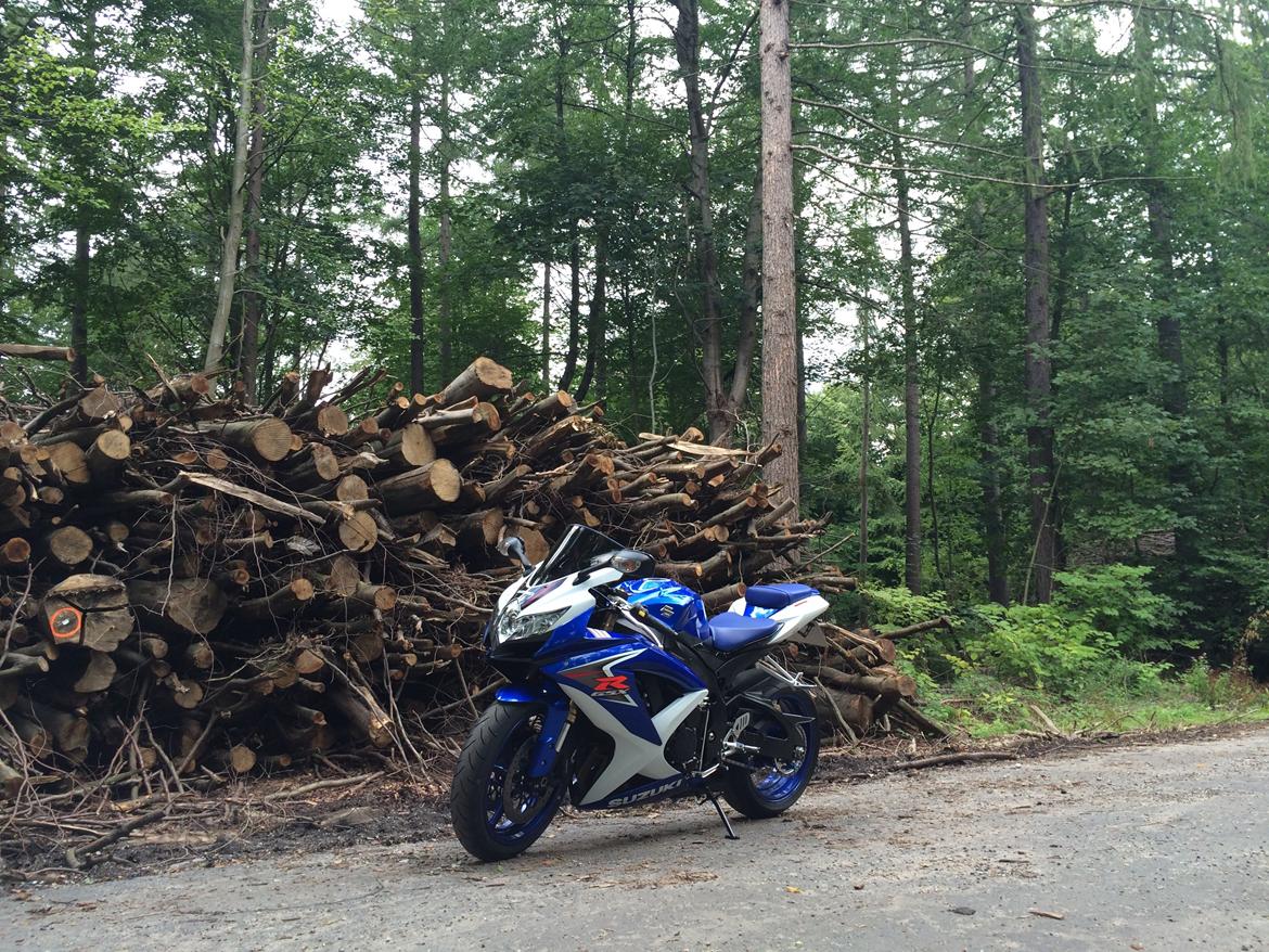 Suzuki GSX-R 600 billede 14