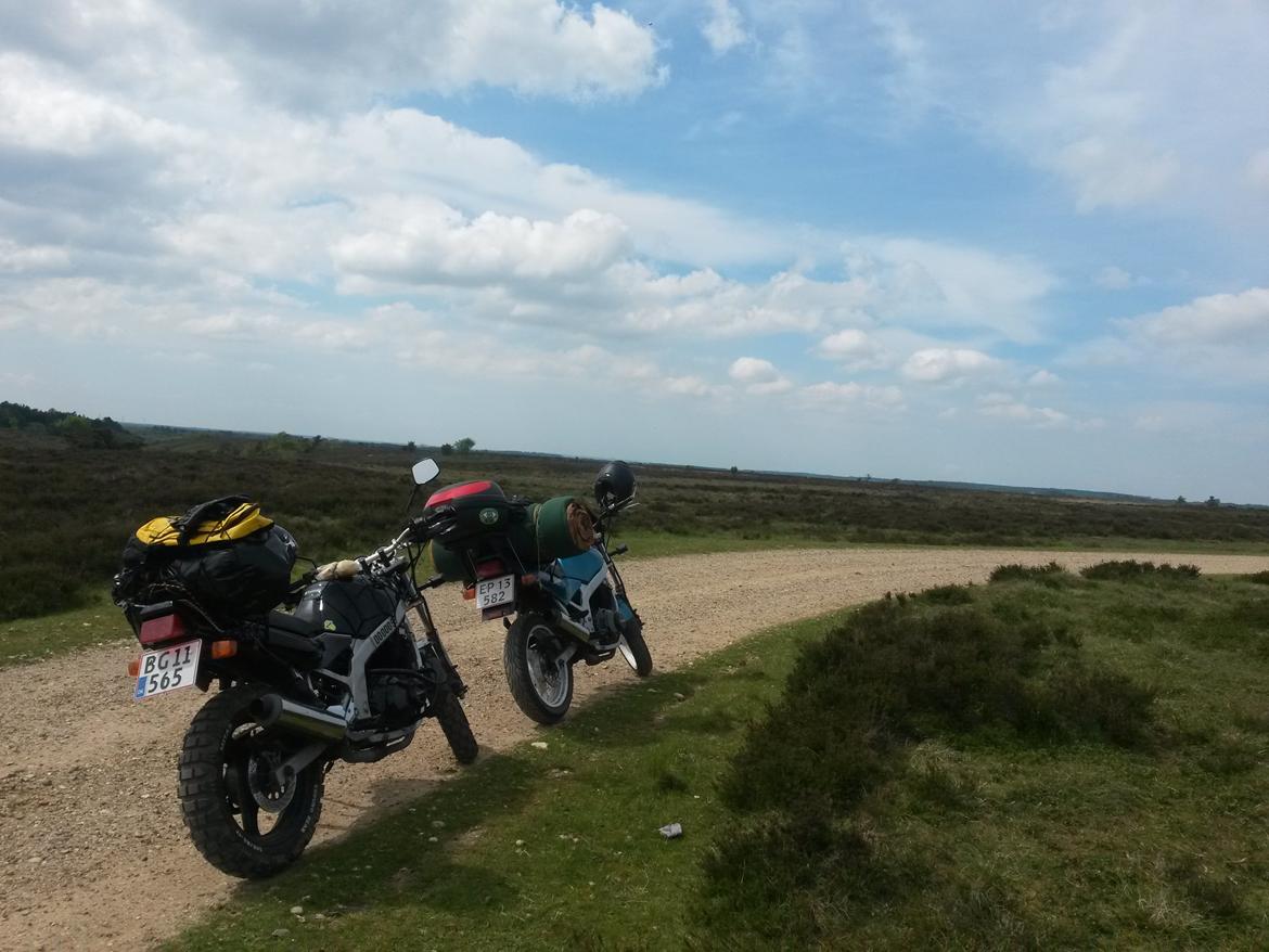 Suzuki GS 500 All road billede 2